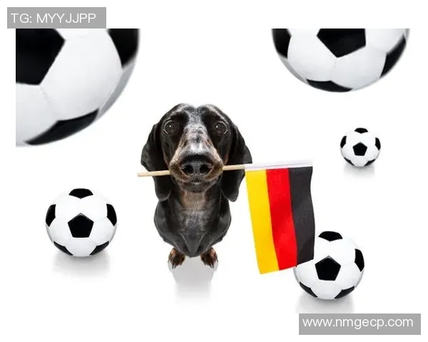 足球明星球员的狗狗名字大全 揭开球场背后的宠物故事