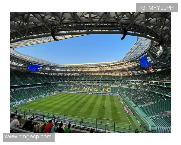 黑胖足球球星的崛起之路：从街头到绿茵场的传奇故事