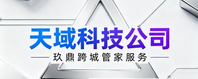天域科技公司Logo,蓝紫色渐变科技感设计,代表一家上市科技企业,其高管团队使用玖鼎跨城管家服务。